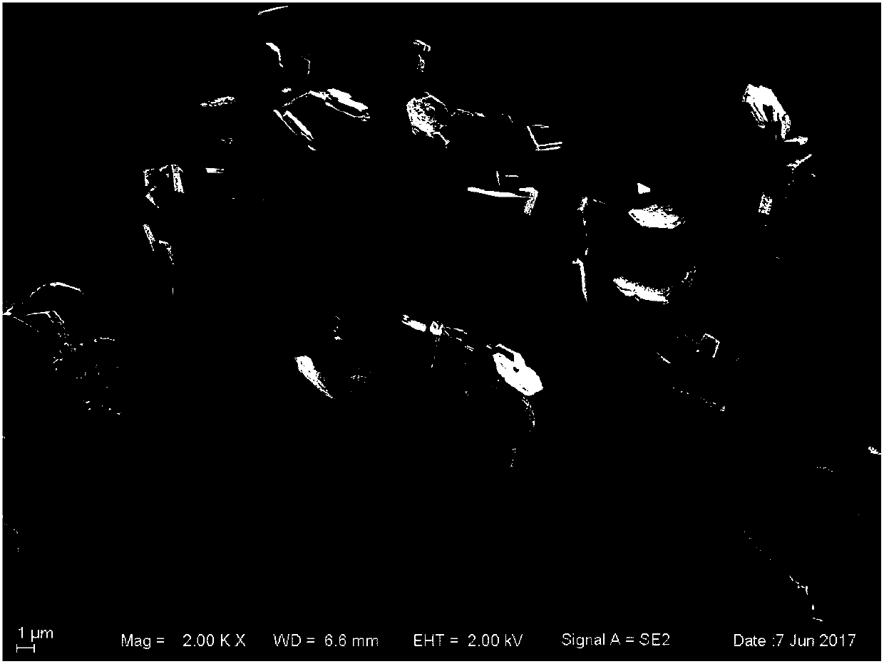 Rapid crystallization method for synthesizing EMT molecular sieve