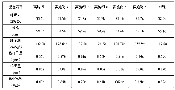 Rice seedling stage growth accelerant and application method thereof