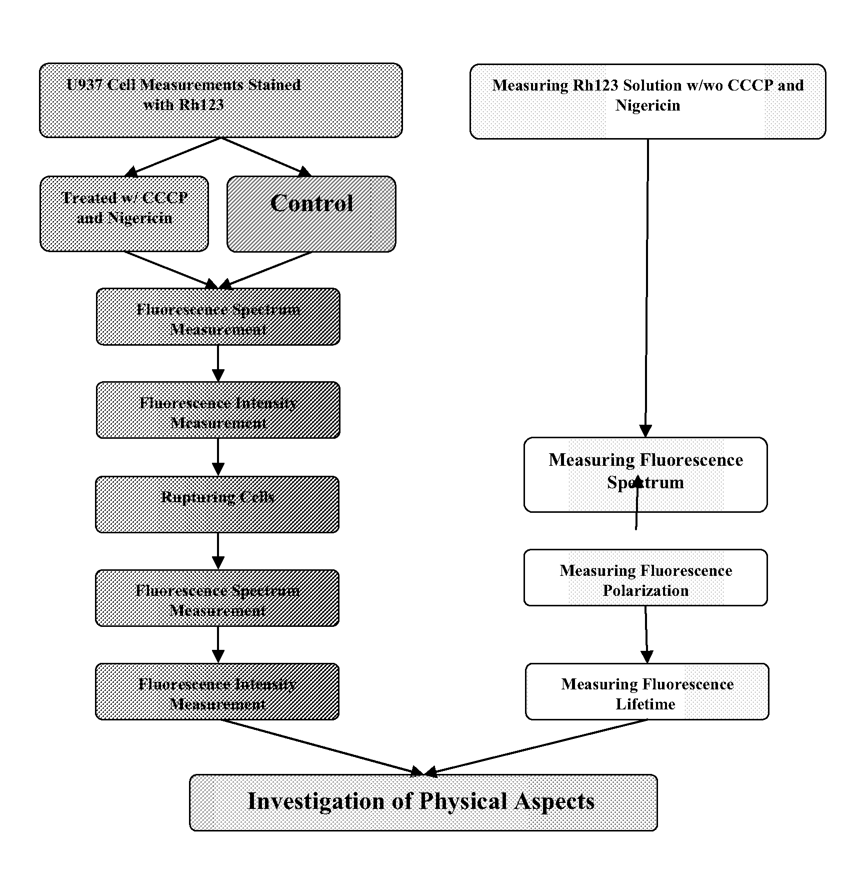 Method and system for measuring membrane potential based on fluorescence polarization