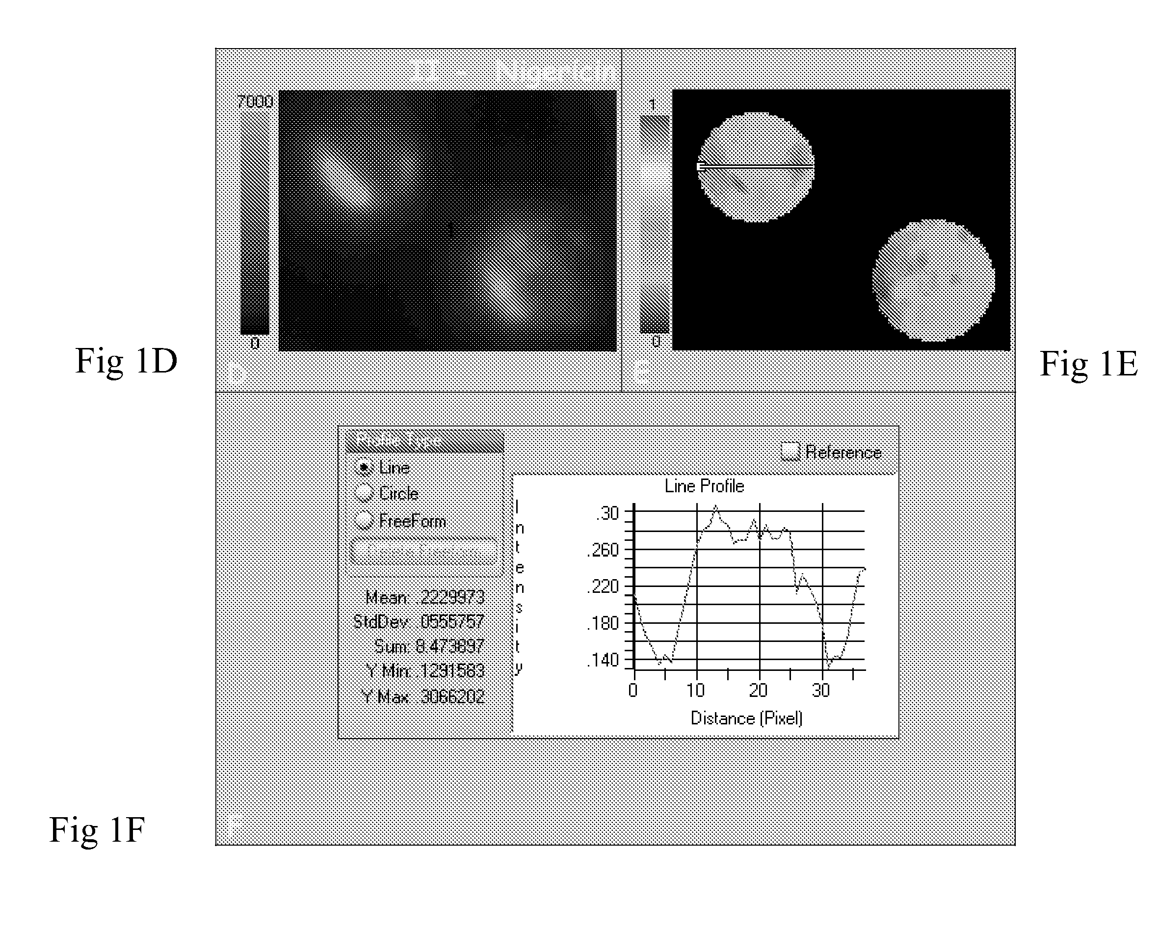 Method and system for measuring membrane potential based on fluorescence polarization