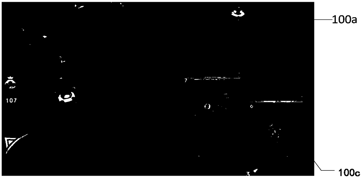 Service data processing method and device