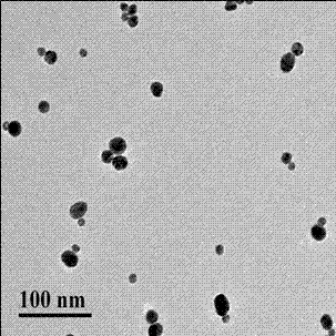 Method for high-sensitivity detection of silver ions through circular dichroism