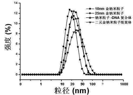 Method for high-sensitivity detection of silver ions through circular dichroism