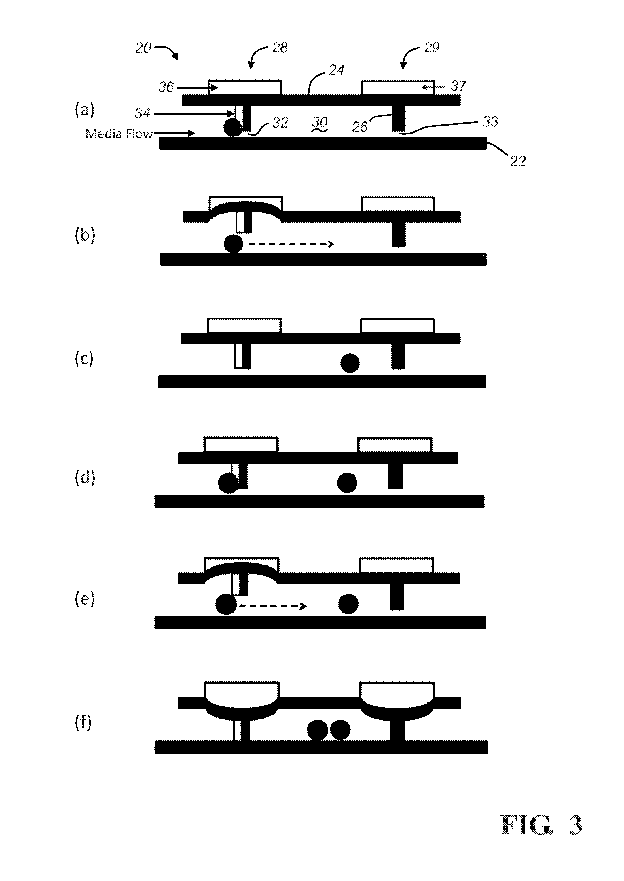 Microfluidic platform for discrete cell assay