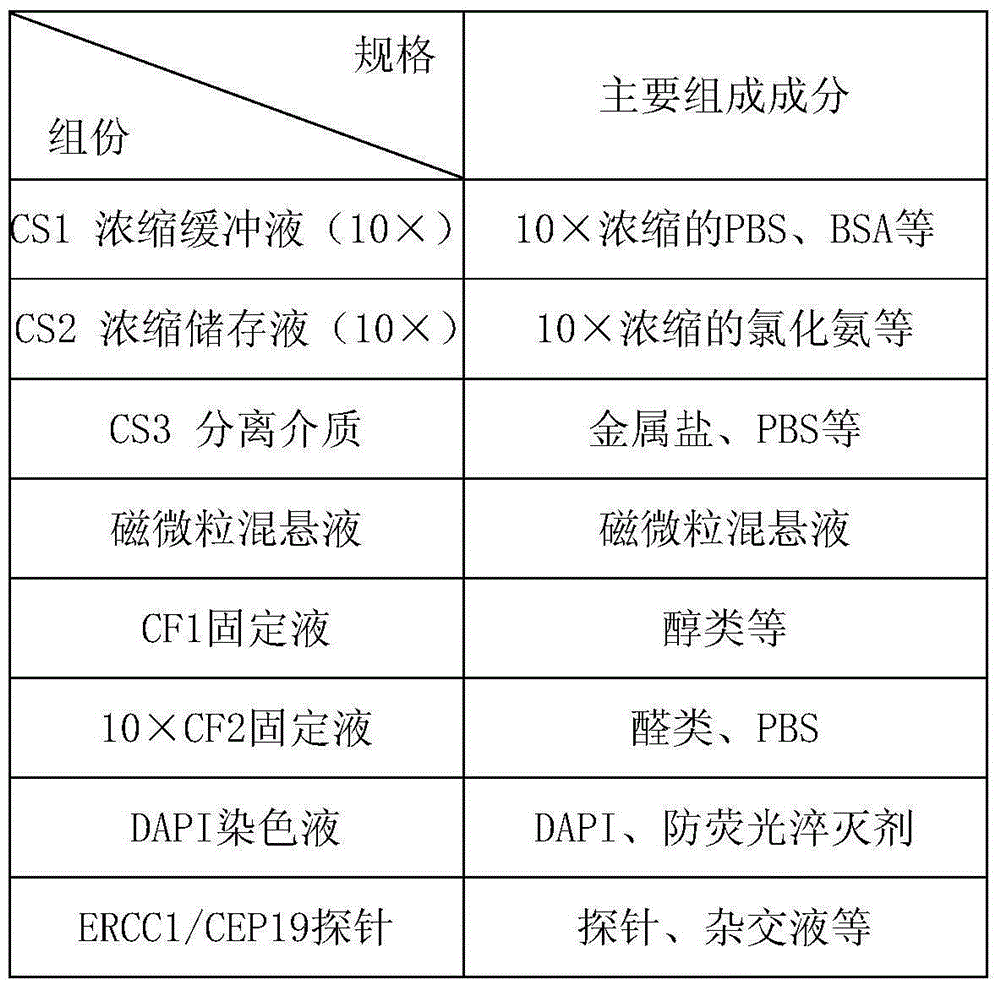 Method for detecting ERCC1/CEP19 gene status based on rare cell and correlated kit