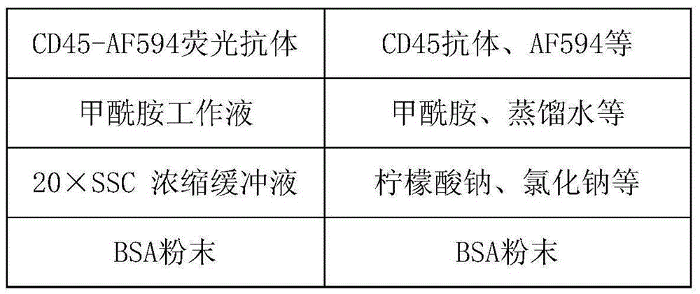 Method for detecting ERCC1/CEP19 gene status based on rare cell and correlated kit