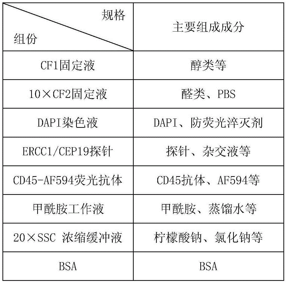 Method for detecting ERCC1/CEP19 gene status based on rare cell and correlated kit