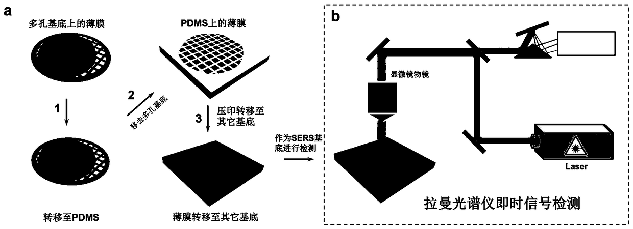 Flexible transferable surface-enhanced Raman detection substrate as well as preparation method and application thereof