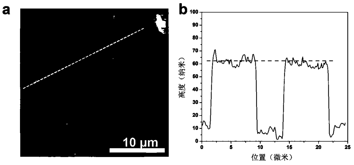 Flexible transferable surface-enhanced Raman detection substrate as well as preparation method and application thereof