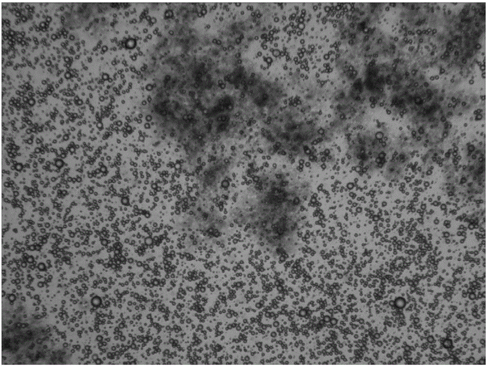 Self-antibacterial mask material as well as preparation method and application thereof