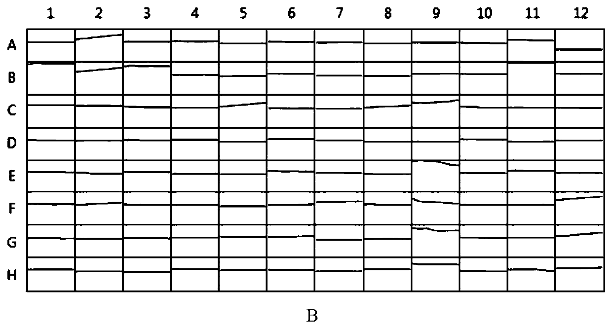 Omega-aminopherase double mutant and application thereof