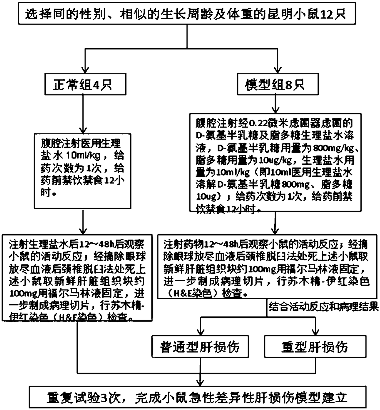 Acute different liver damage inducer and preparation method and application thereof