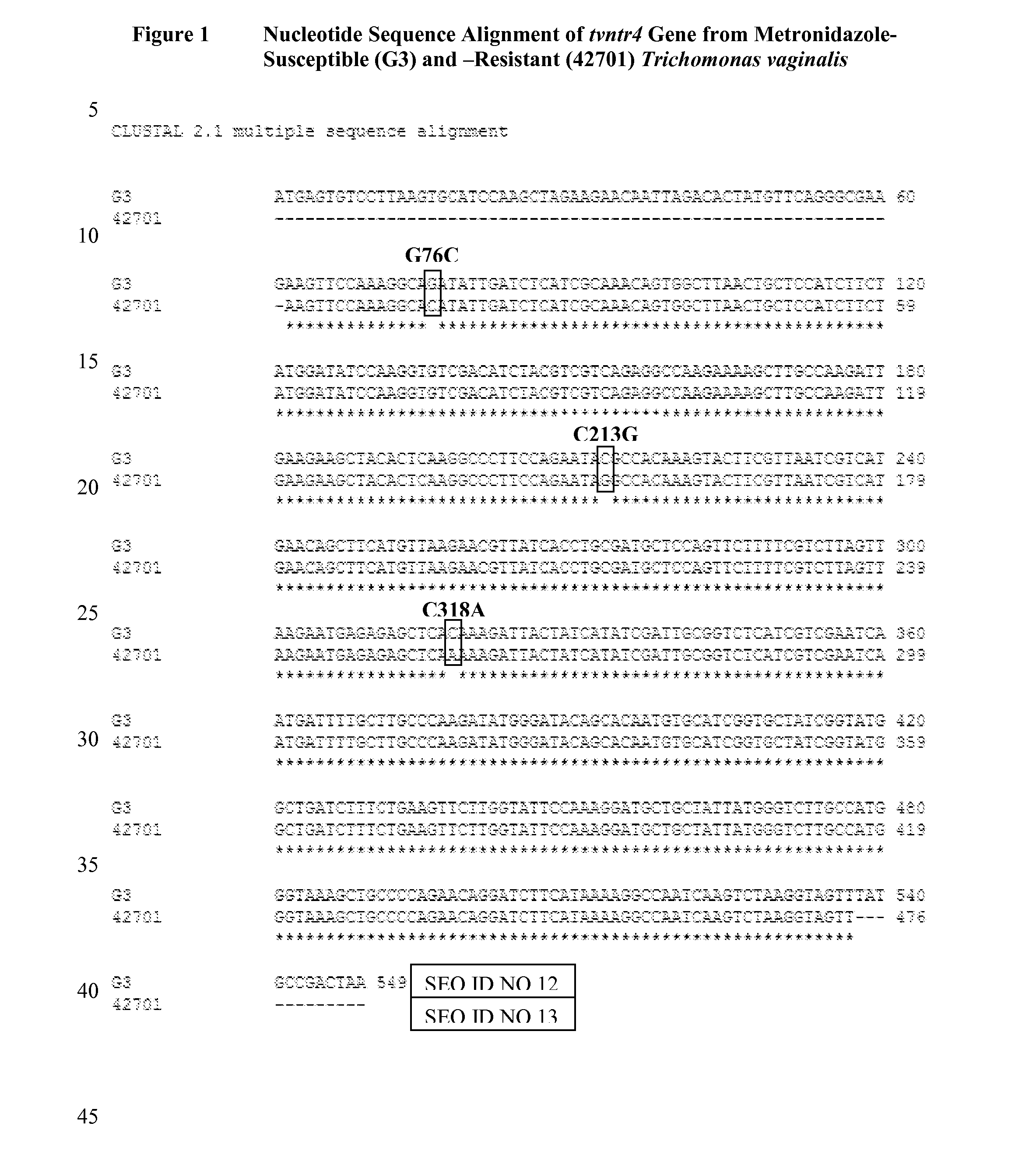 Metronidazole resistance in trichomonas vaginalis and single nucleotide polymorphisms