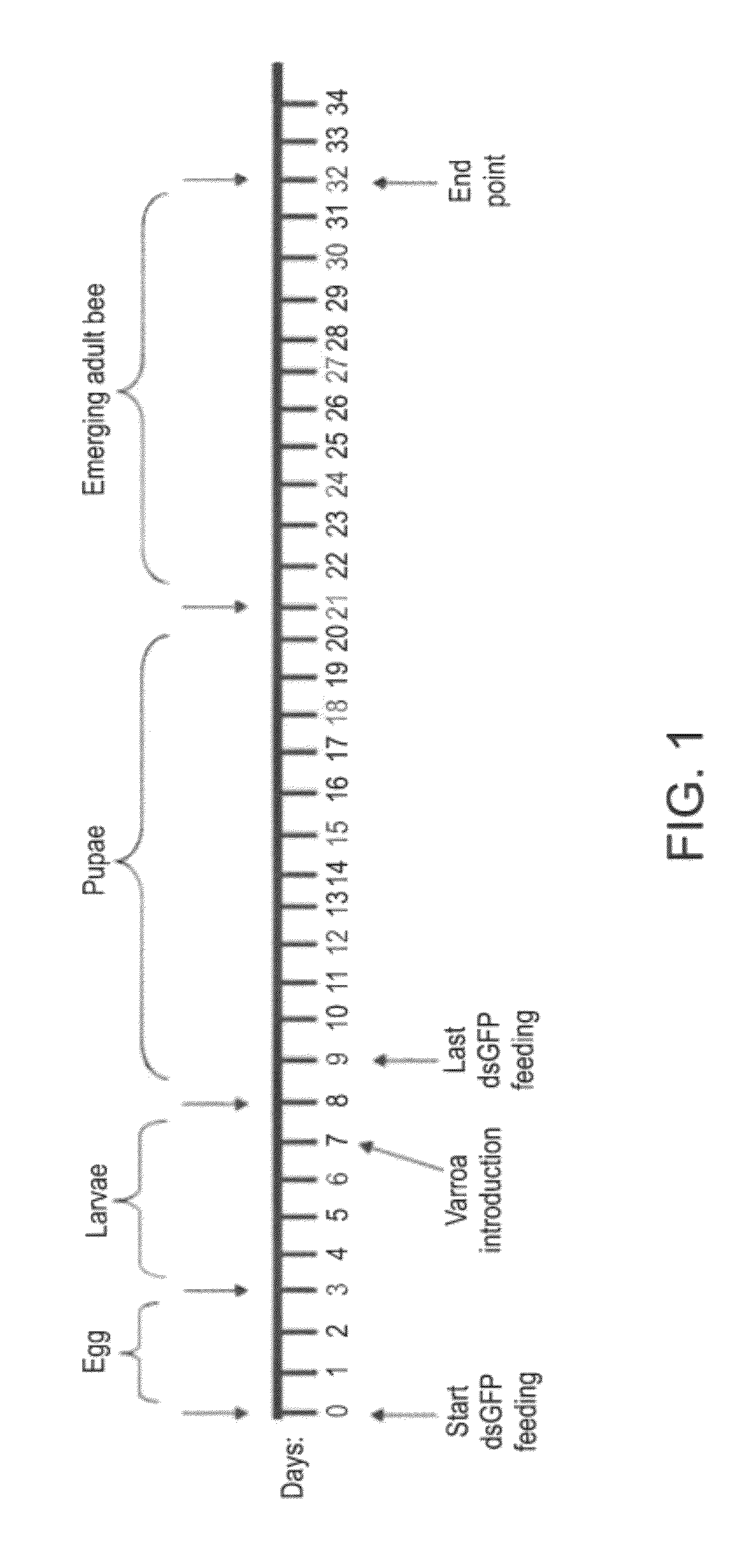 Compositions for controlling <i>Varroa </i>mites in bees