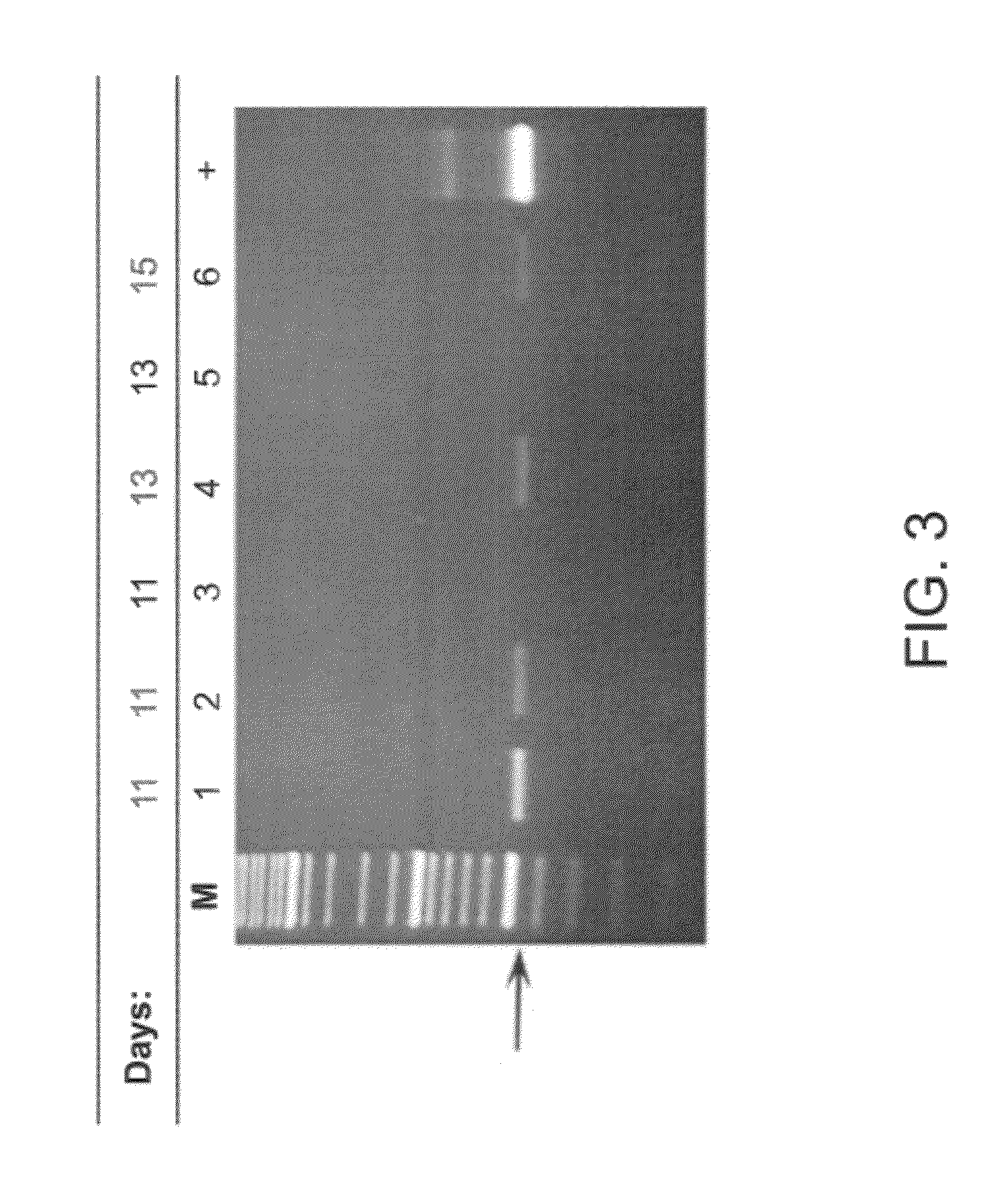 Compositions for controlling <i>Varroa </i>mites in bees