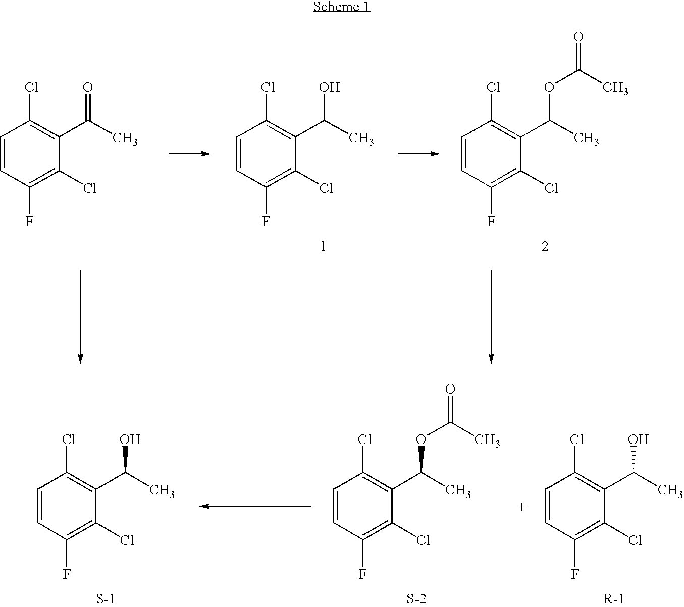 Enantioselective biotransformation for preparation of protein tyrosine kinase inhibitor intermediates