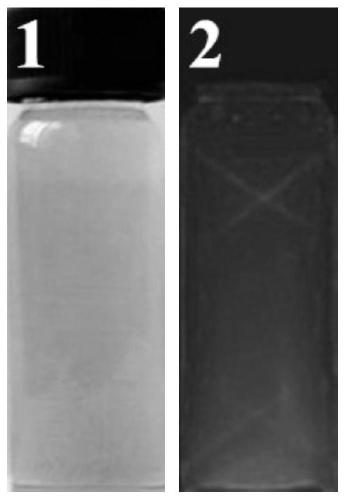 Preparation method and application of hollow orange fluorescent carbon nanoparticles