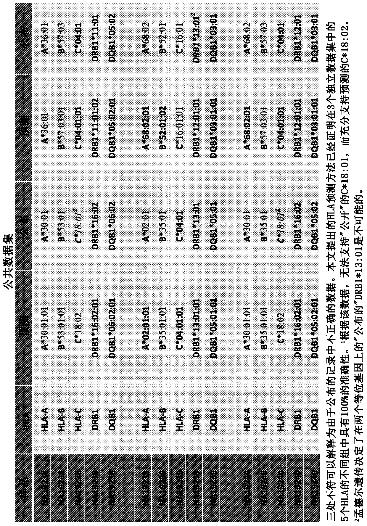 HLA tissue matching and methods therefor