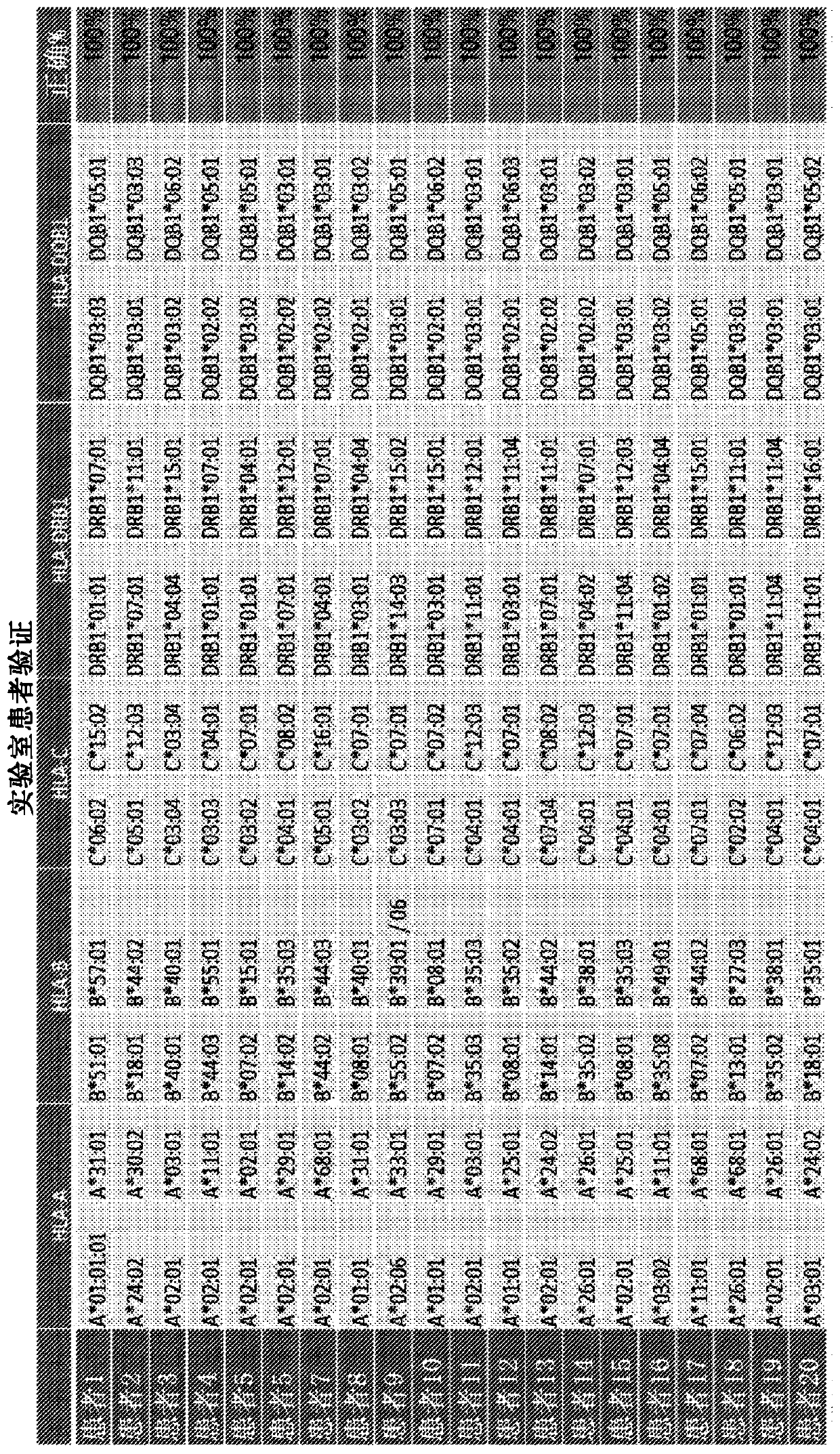 HLA tissue matching and methods therefor