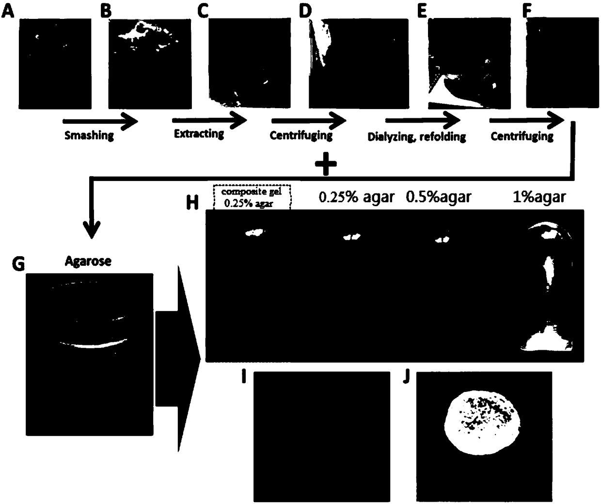 Preparation method and product of sericin-agarose composite gel having activity of promoting cell proliferation and product