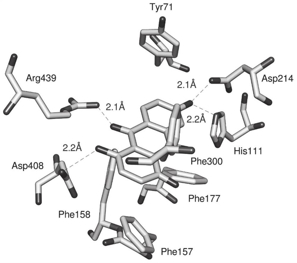 Anthraquinone compound and preparation method of anthraquinone compound from ranunculus davidii