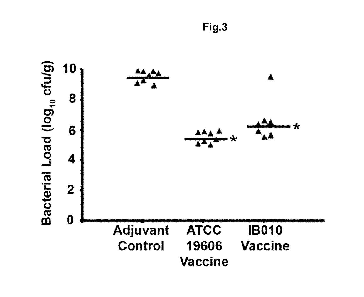 Vaccine against acinetobacter baumannii based on cellular components deficient in lipopolysaccharide