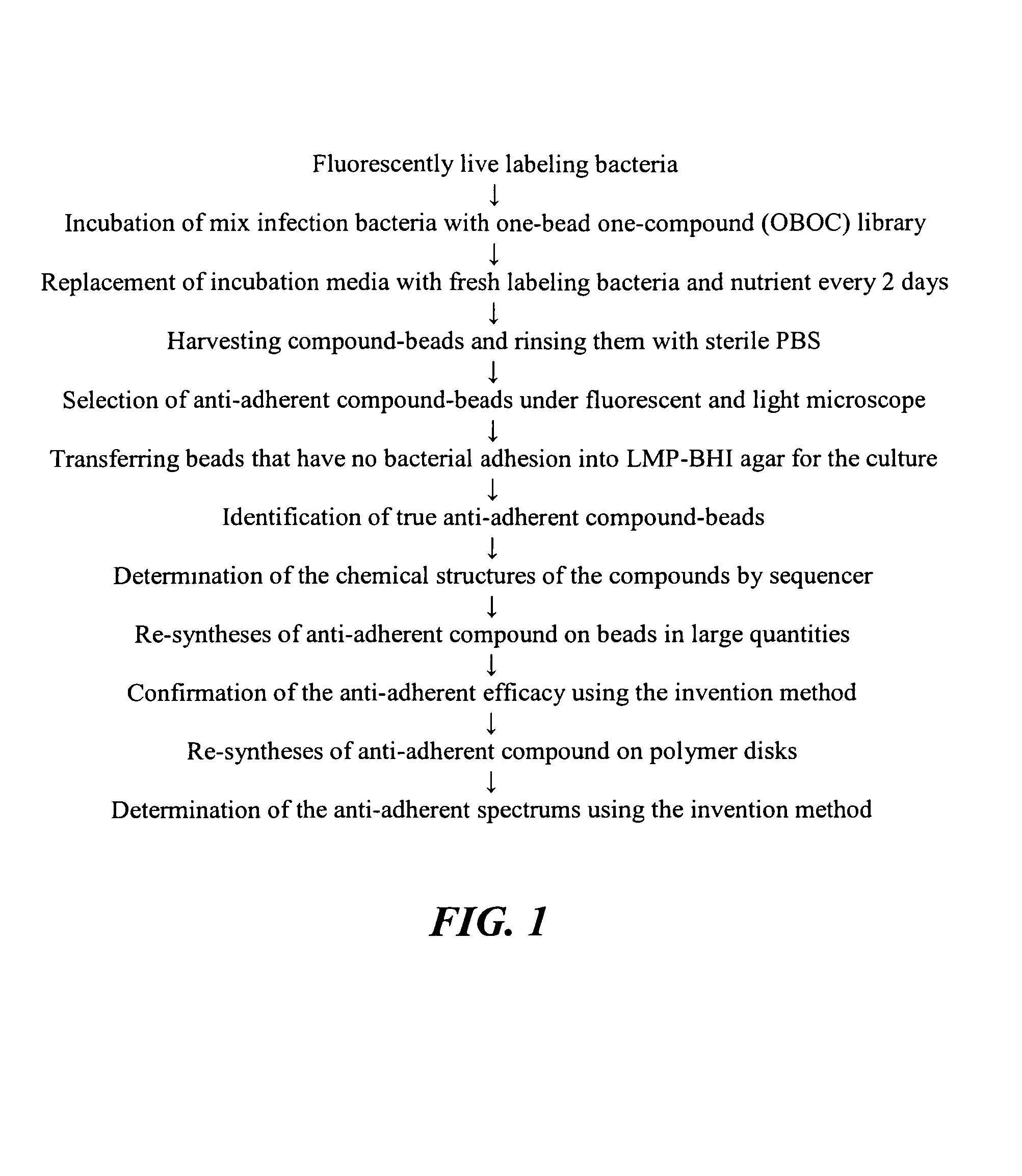 Method for screening anti-adherent compounds on polymers for preventing biofilm formation