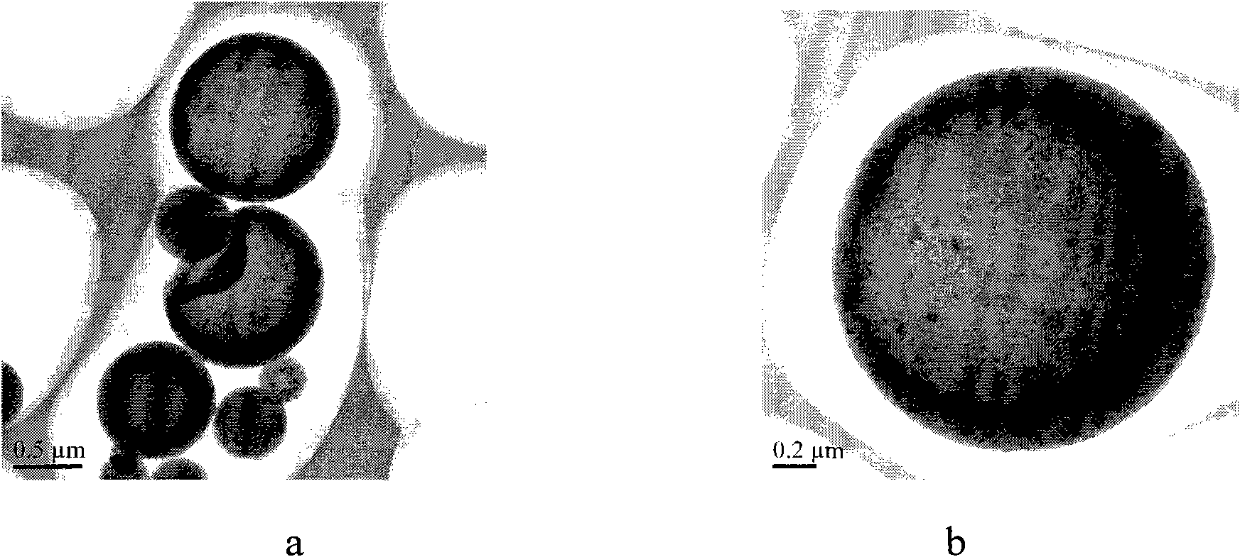 Method for preparing organic/inorganic composite magnetic microcapsules