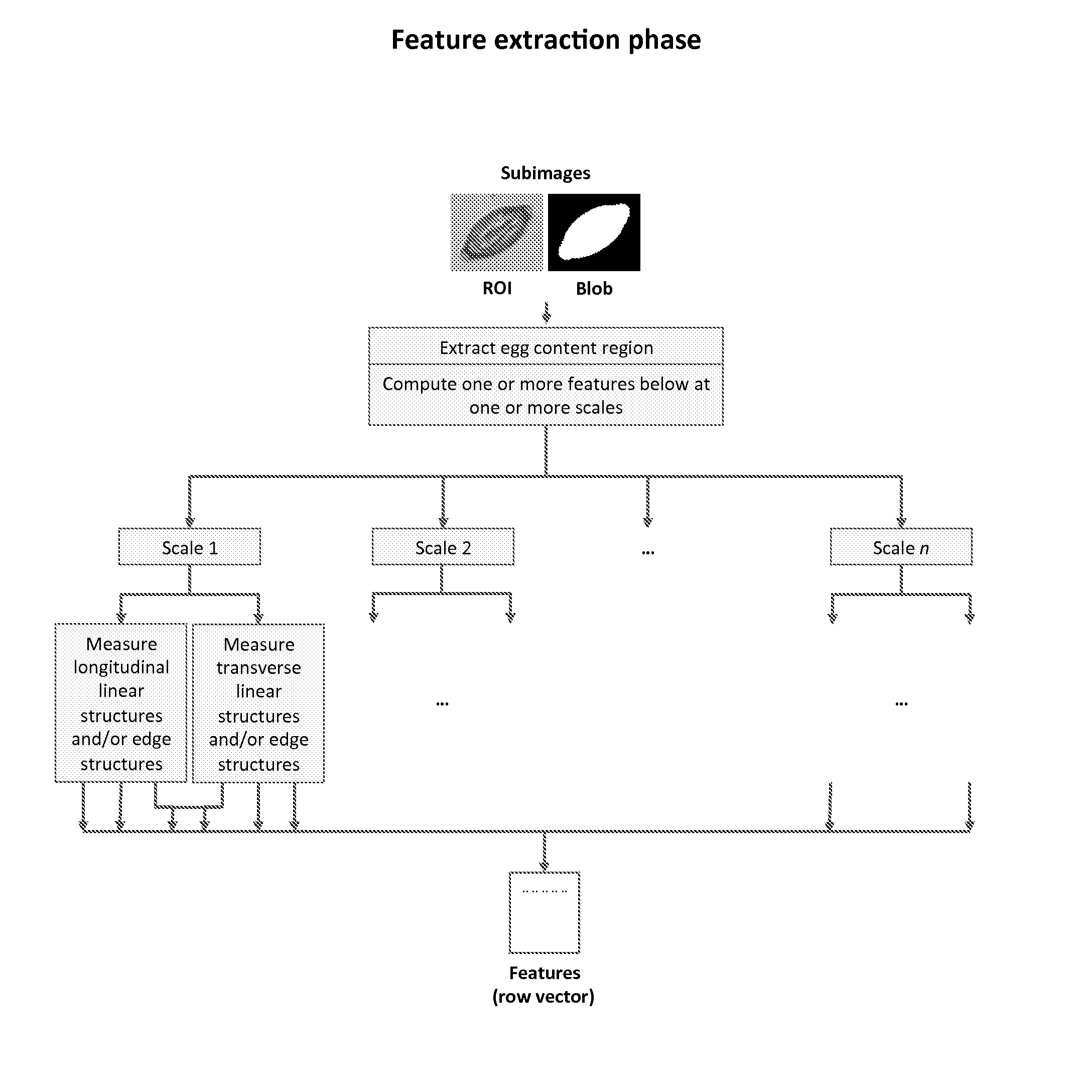 Computer Vision Based Method for Extracting Features Relating to the Developmental Stages of Trichuris Spp. Eggs