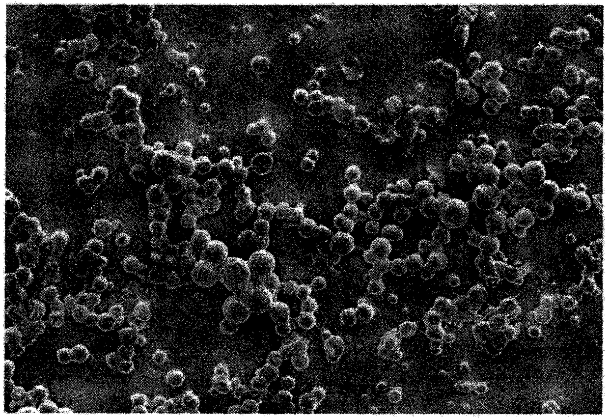 Hydrophobic, scratch-resistant and light-resistant UV-LED curing oil polish for paper packaging printed matters