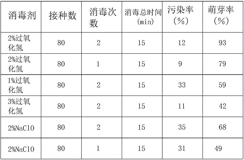 Cymbidium-ensifolium tissue-culture rapid propagation method