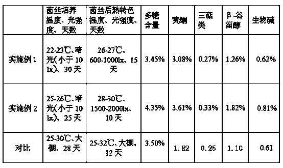 Phellinus igniarius mycelia product containing rich bioactive substances and production method thereof