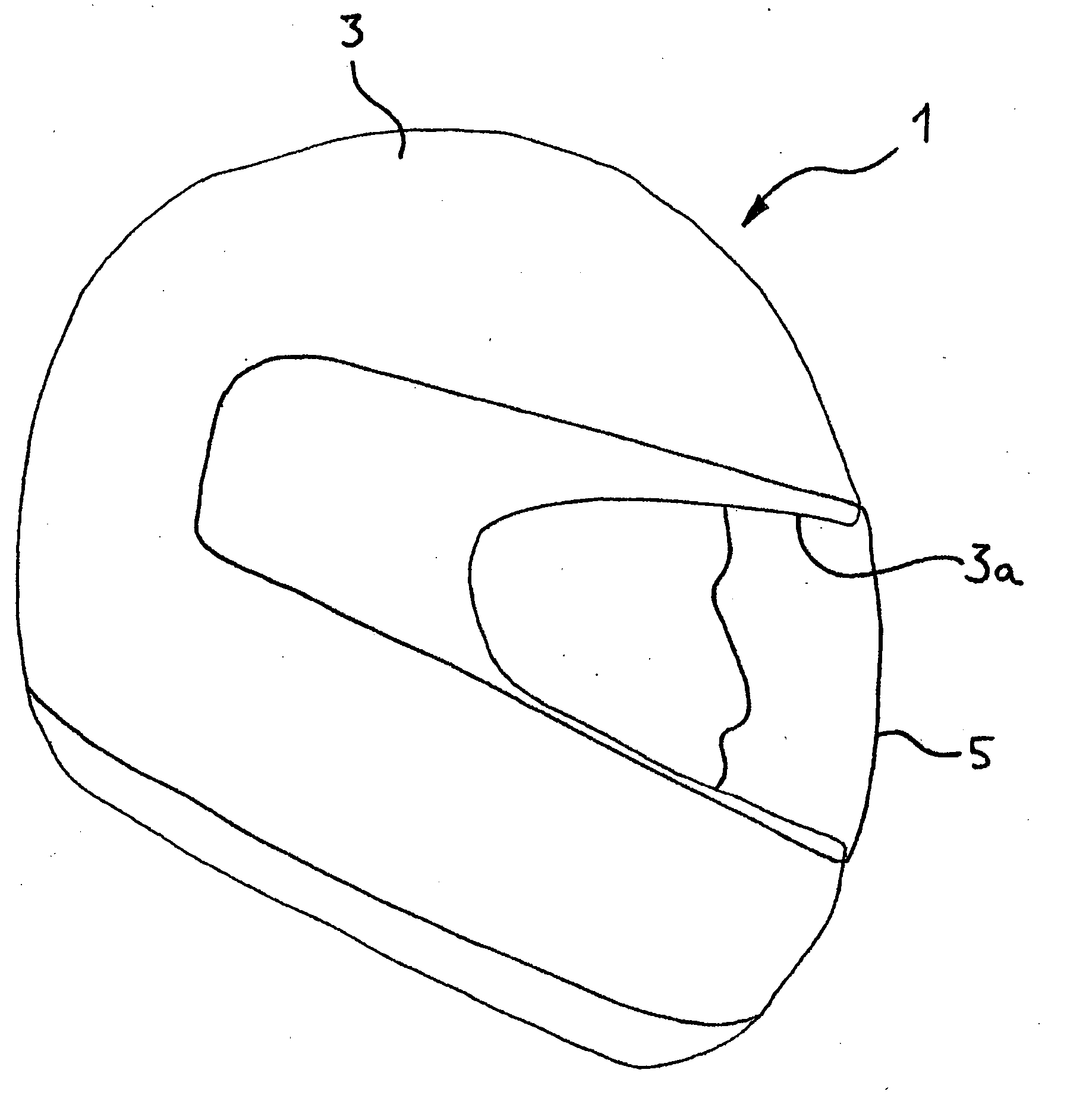 Brain cooling device