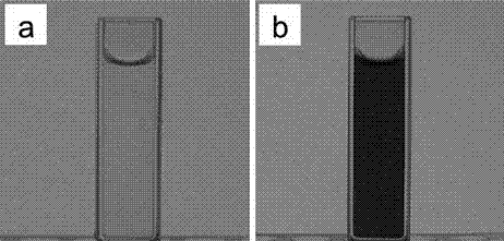 Fe-based metal organic skeleton nanoparticles with function of near-infrared absorption, and preparation method of Fe-based metal organic skeleton nanoparticles