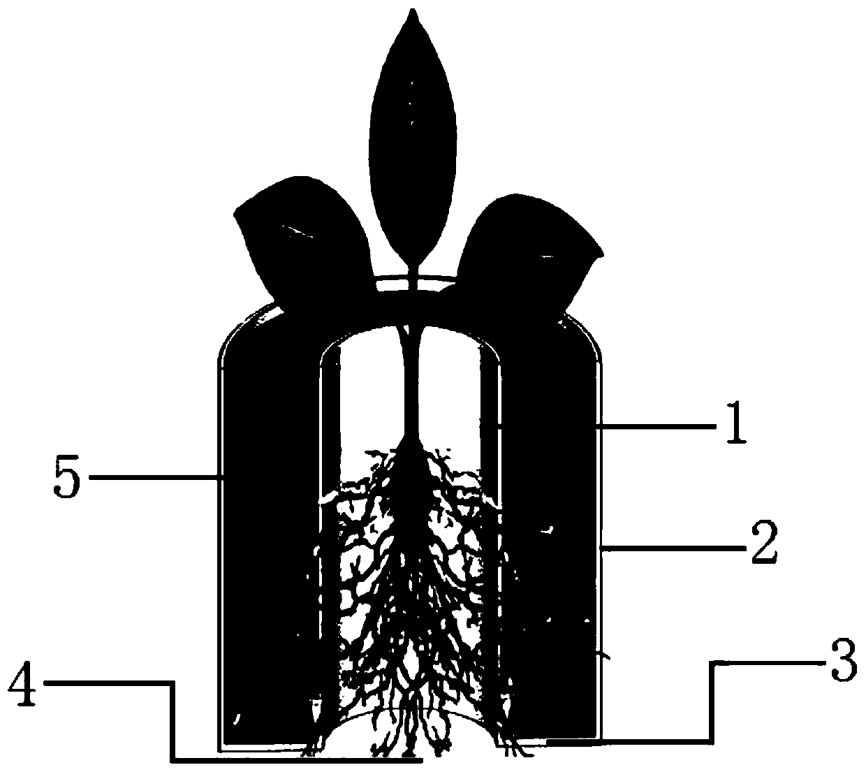 Filling body for stabilizing plant root system in desertification area and using method thereof