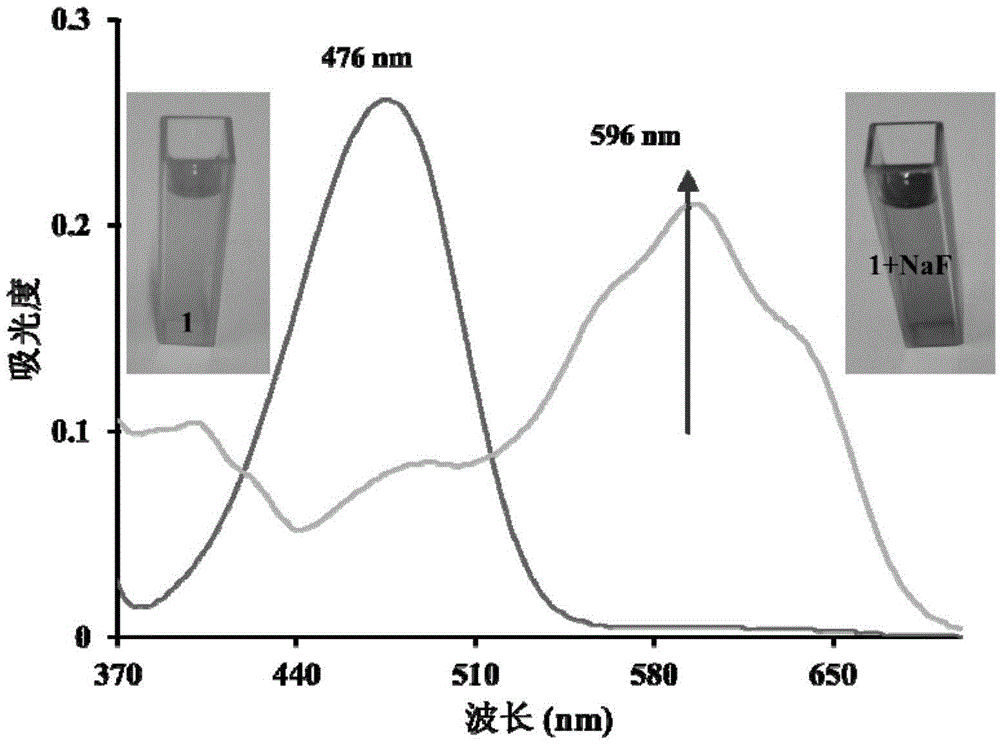 Method and kit for determining fluorine ions