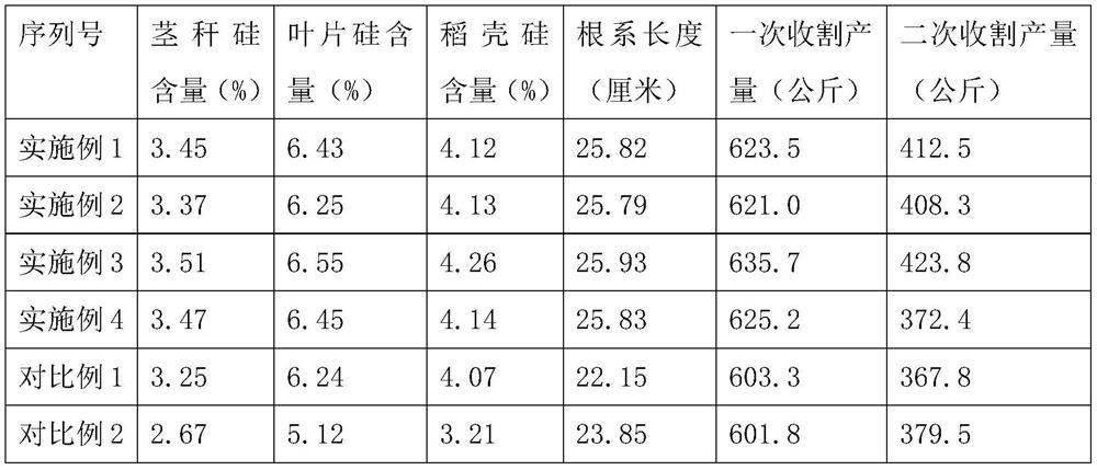 A kind of method utilizing sugarcane ash and organic fertilizer to plant rice