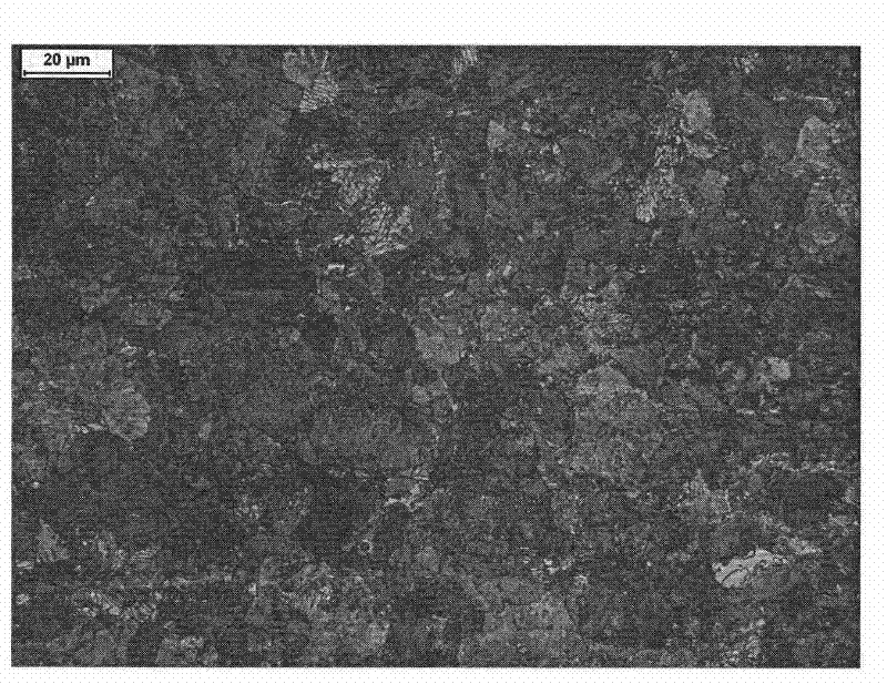 Method for producing SKS51 hot-rolled thin steel sheets