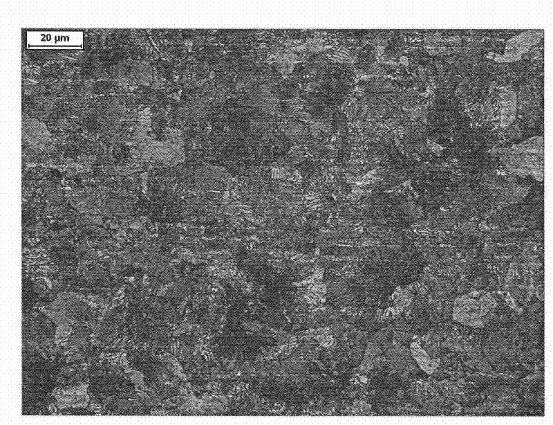 Method for producing SKS51 hot-rolled thin steel sheets