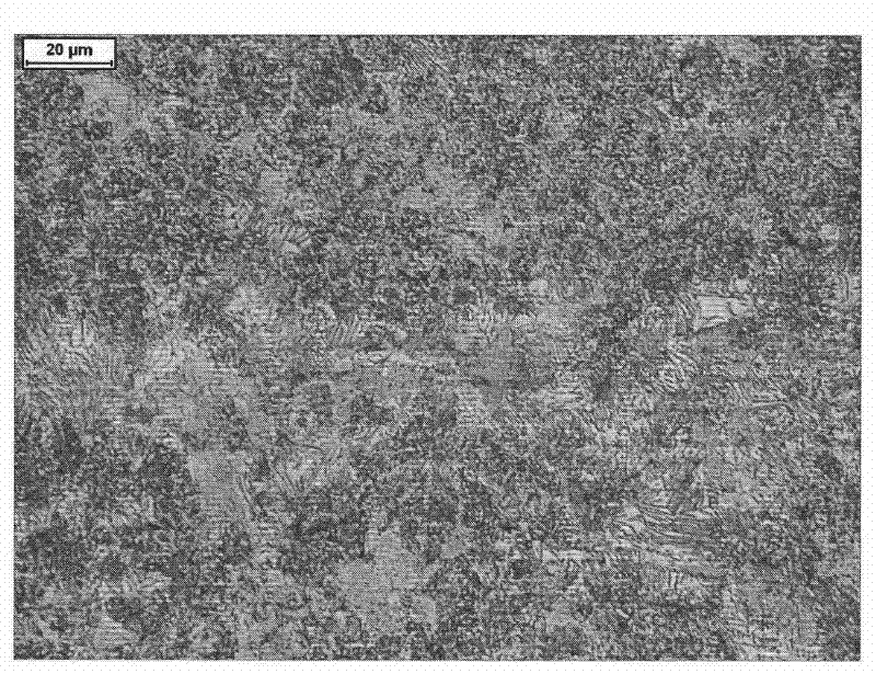 Method for producing SKS51 hot-rolled thin steel sheets