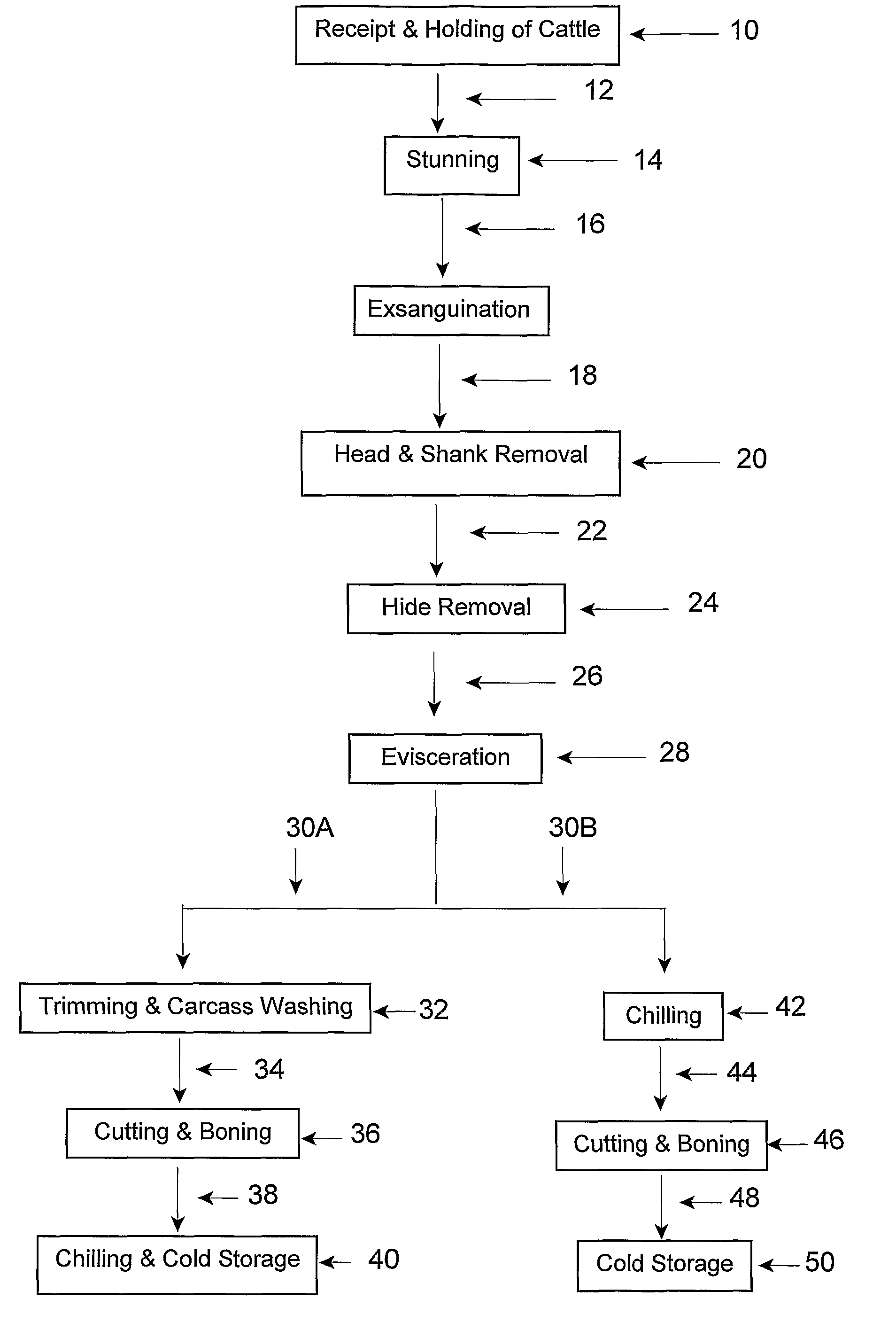 Microbiocidal control in the processing of meat-producing four-legged animals