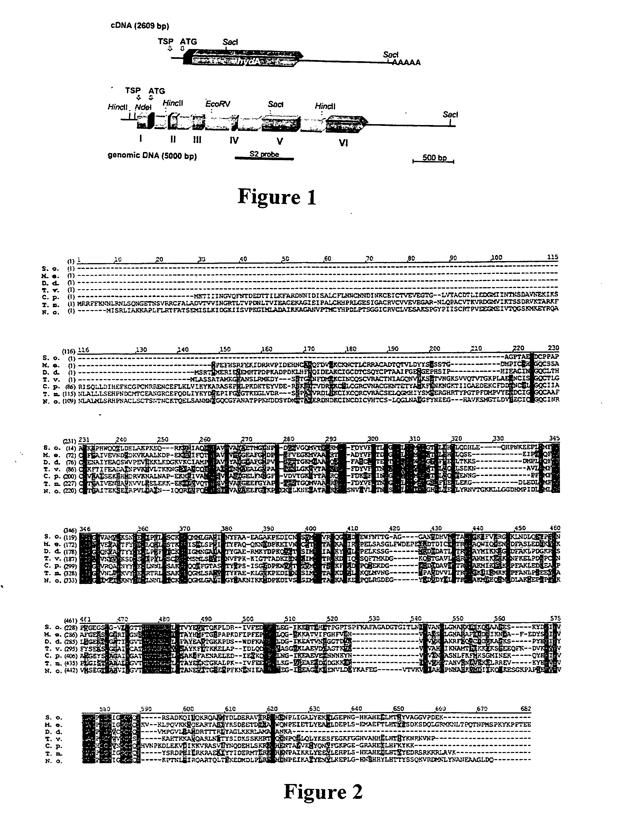 Hydrogen production