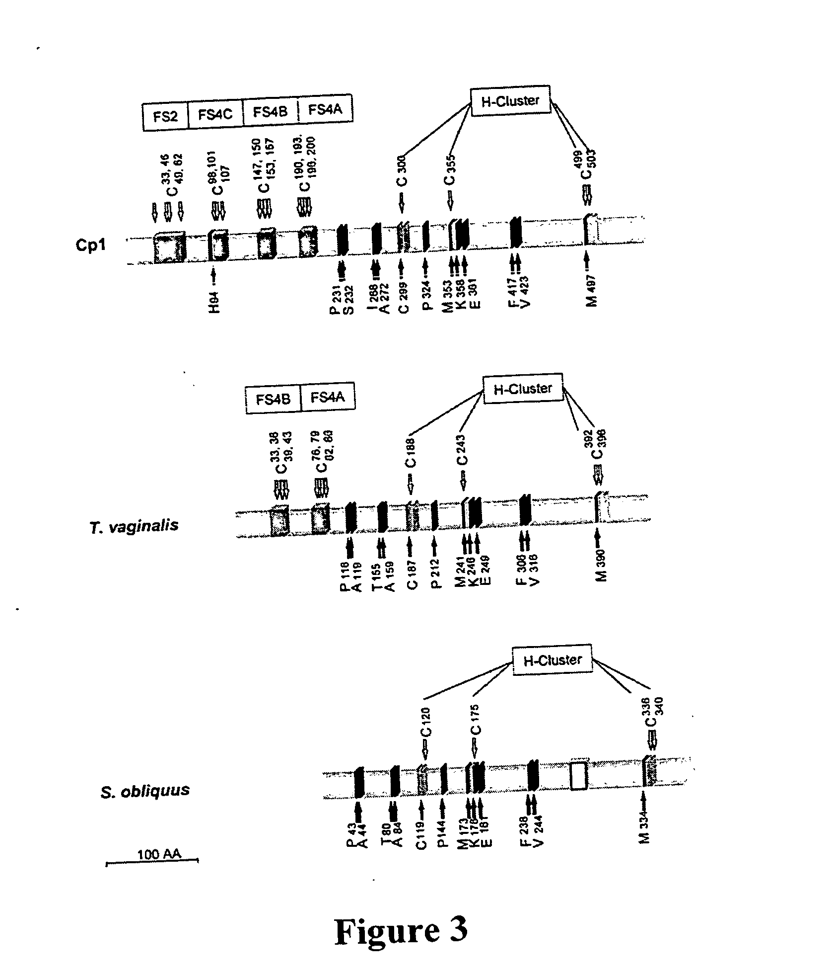 Hydrogen production