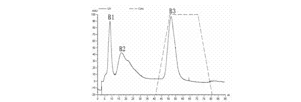 Malania oleifera lectin and method for preparing same