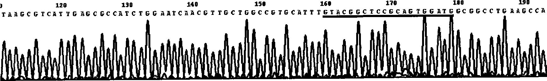 Engineering bacterial strain containing integron