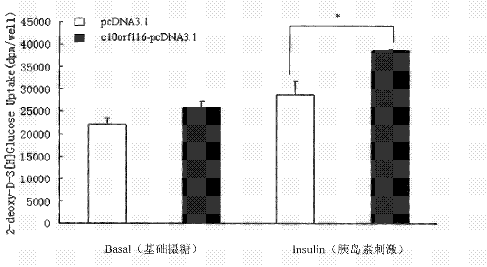 Application of C10orf116 genes in preparing medicament for improving insulin sensitivity of adipose tissue