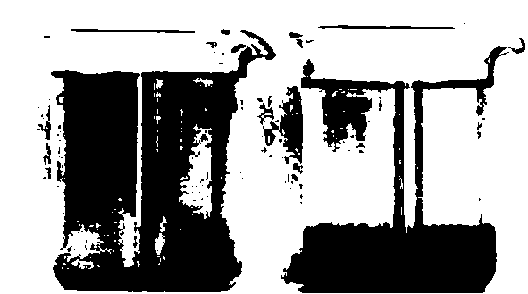 Bioflocculant and preparation method thereof