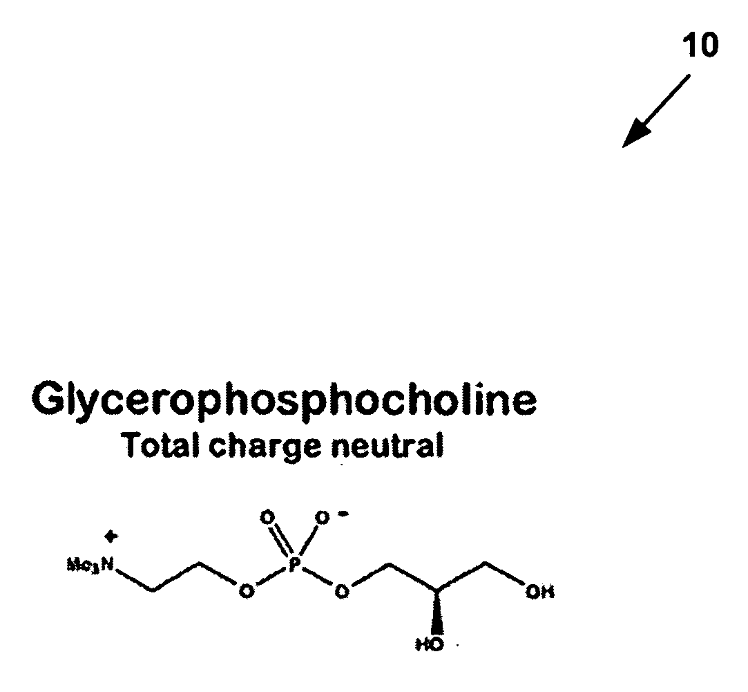 Cryopreservation media and molecules