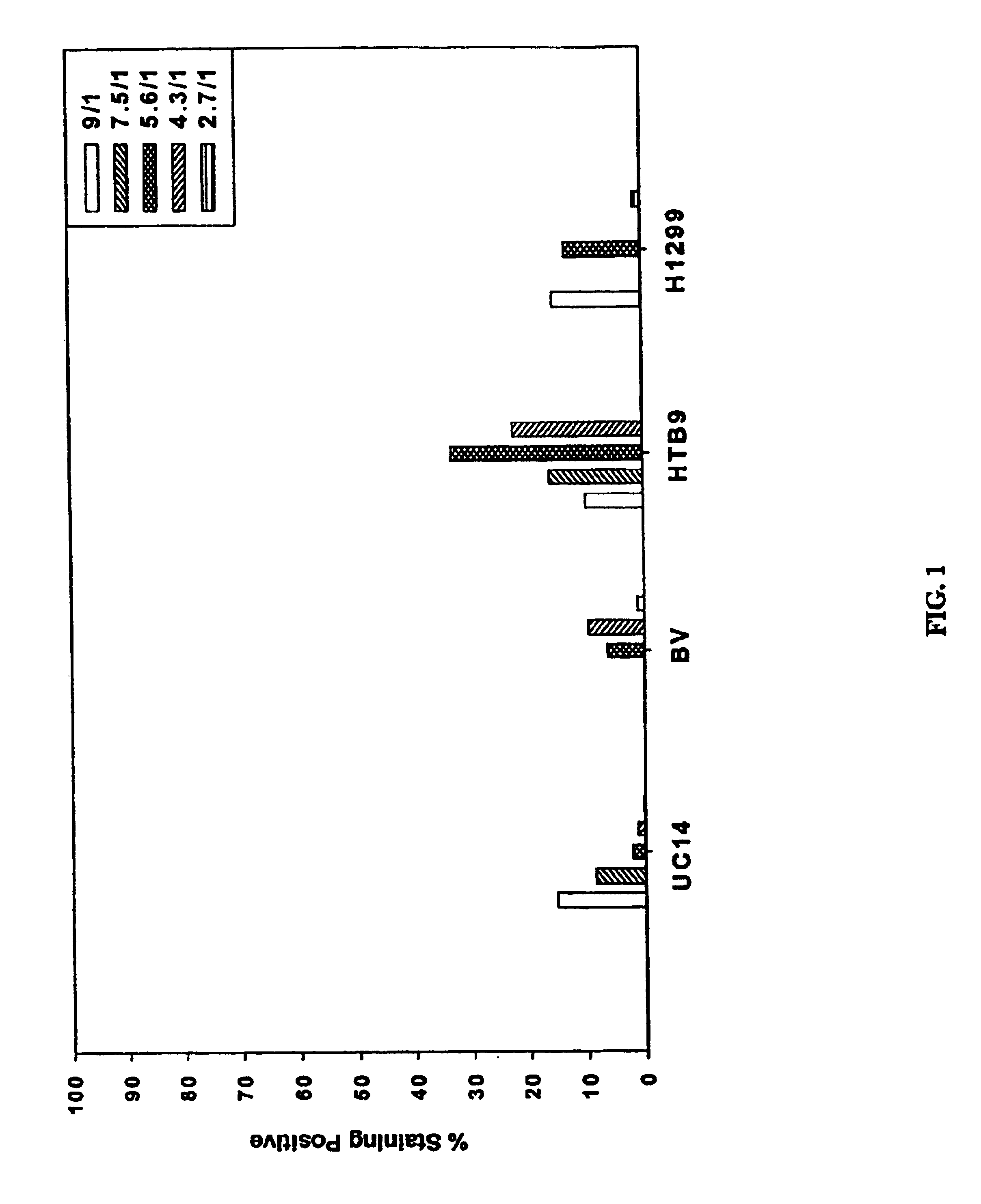 PEI: DNA vector formulations for in vitro and in vivo gene delivery