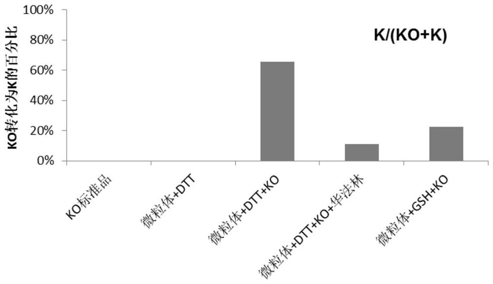 Vitamin K epoxide reductase in-vitro activity determination method and application thereof